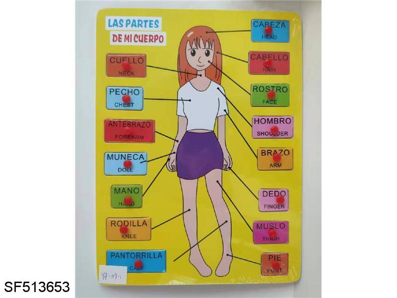 手抓木质认知拼图