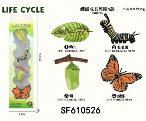 蝴蝶成长周期