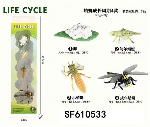 蜻蜓成长周期