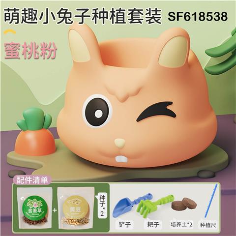 科教steam小兔花盆