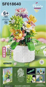 多肉盆栽(1059pcs)